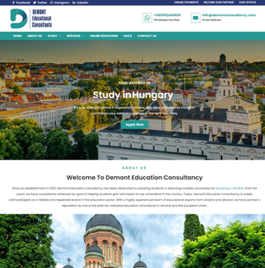 demontconsultancy-se-software